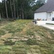 Photo #3: Ledford lawn care 