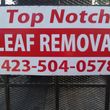 Photo #10: *TOP NOTCH* LEAF REMOVAL