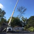 Photo #2: GARCIA QUALITY TREE SERVICE