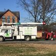 Photo #1: Jmm tree service