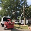 Photo #4: Jmm tree service
