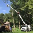 Photo #6: Jmm tree service
