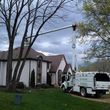 Photo #14: Jmm tree service