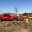 Photo #16: Jmm tree service