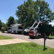 Photo #21: Jmm tree service