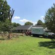 Photo #22: Jmm tree service