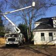 Photo #16: G. Rivera's tree service