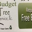 Photo #1: BUDGET TREE SERVICES