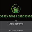 Photo #1: Sassy Grass Landscape