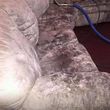 Photo #2: Carpet/Furniture/Upholstery Cleaning