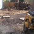 Photo #1: Stump grinding and removal (Free Estimate )