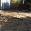 Photo #2: Stump grinding and removal (Free Estimate )