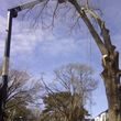 Photo #1: Cutting Edge Tree Service