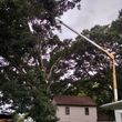 Photo #7: Cutting Edge Tree Service