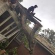 Photo #4: All in One Tree Service