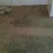 Photo #8: ★★★Whole House Carpet Cleaning From $59.95