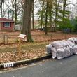 Photo #9: KEMPTON'S LAWN CARE/Leaf Clean up