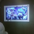 Photo #14: HOME THEATER SURROUND SOUND SECURITY CAMERAS
