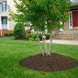 Photo #4: Lawn & Landscaping Services 