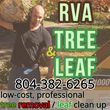 Photo #1: RVA TREE & LEAF