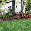 Photo #2: Bayard Landscapes - Leaf Removal