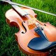 Photo #3: Violin Lessons