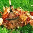 Photo #1: Fall Cleanup Services