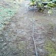 Photo #4: Landscaping/Labor/Yard Cleanup