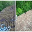 Photo #10: ✝️ Roof & Gutter Cleaning Landscaping Garden Painting
