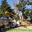 Photo #1: all pro tree care