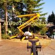 Photo #2: all pro tree care