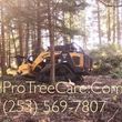 Photo #3: all pro tree care