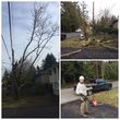 Photo #4: ☘️ YARD CLEANUP , TREE PRUNING or REMOVAL, HEDGE TRIMMING, etc