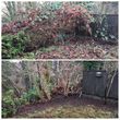 Photo #10: ☘️ YARD CLEANUP , TREE PRUNING or REMOVAL, HEDGE TRIMMING, etc