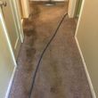 Photo #8: Mvp carpet cleaning 