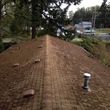 Photo #14: ROOF & GUTTER CLEANING/PRESSURE WASHING/WINDOW CLEANING