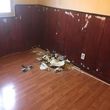 Photo #12: Cheap and same day(Painting  &junk removal)