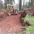 Photo #3: Tree falling /Tree Removal and excavator work