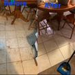 Photo #6: CHEAP & RELIABLE PROFESSIONAL CLEANING SERVICES AVAILABLE TODAY