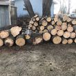 Photo #3: TREES TRIMMING AND REMOVAL. (AFFORDABLE)