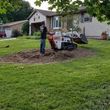 Photo #8: TREES TRIMMING AND REMOVAL. (AFFORDABLE)