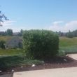 Photo #3: Tree,Lawn,and Landscaping!