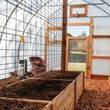 Photo #1: Custom Built Quality Greenhouses