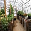 Photo #4: Custom Built Quality Greenhouses