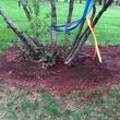 Photo #2: tree cutting-landscaping