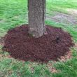 Photo #8: tree cutting-landscaping