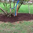 Photo #9: tree cutting-landscaping