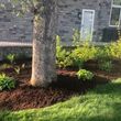 Photo #14: tree cutting-landscaping