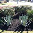 Photo #9: REAL LANDSCAPING SERVICES