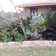 Photo #14: REAL LANDSCAPING SERVICES